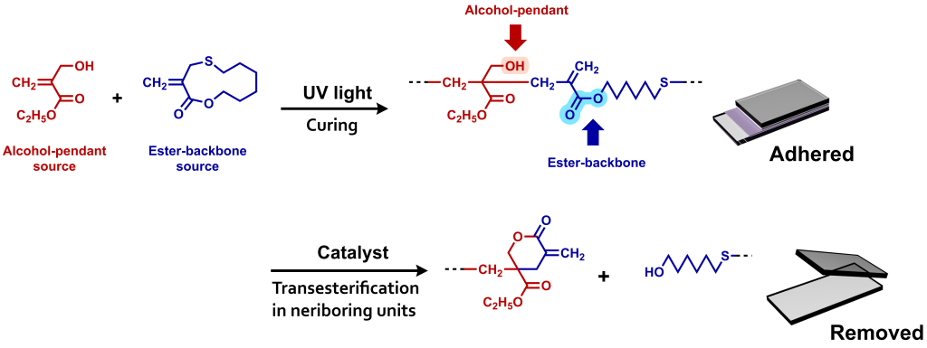Scheme. UV-curable and removable adhesives