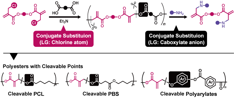 Scheme. Synthesis and degradation of unsaturated polyesters