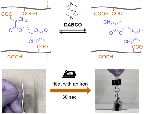 Fig. Viteimer-like elastomers based on conjugate substituion