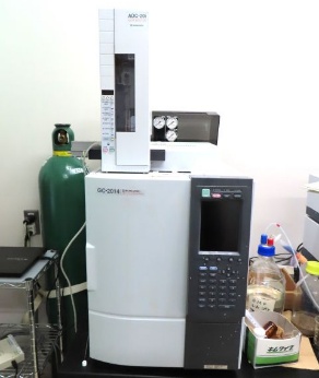 ガスクロマトグラフ