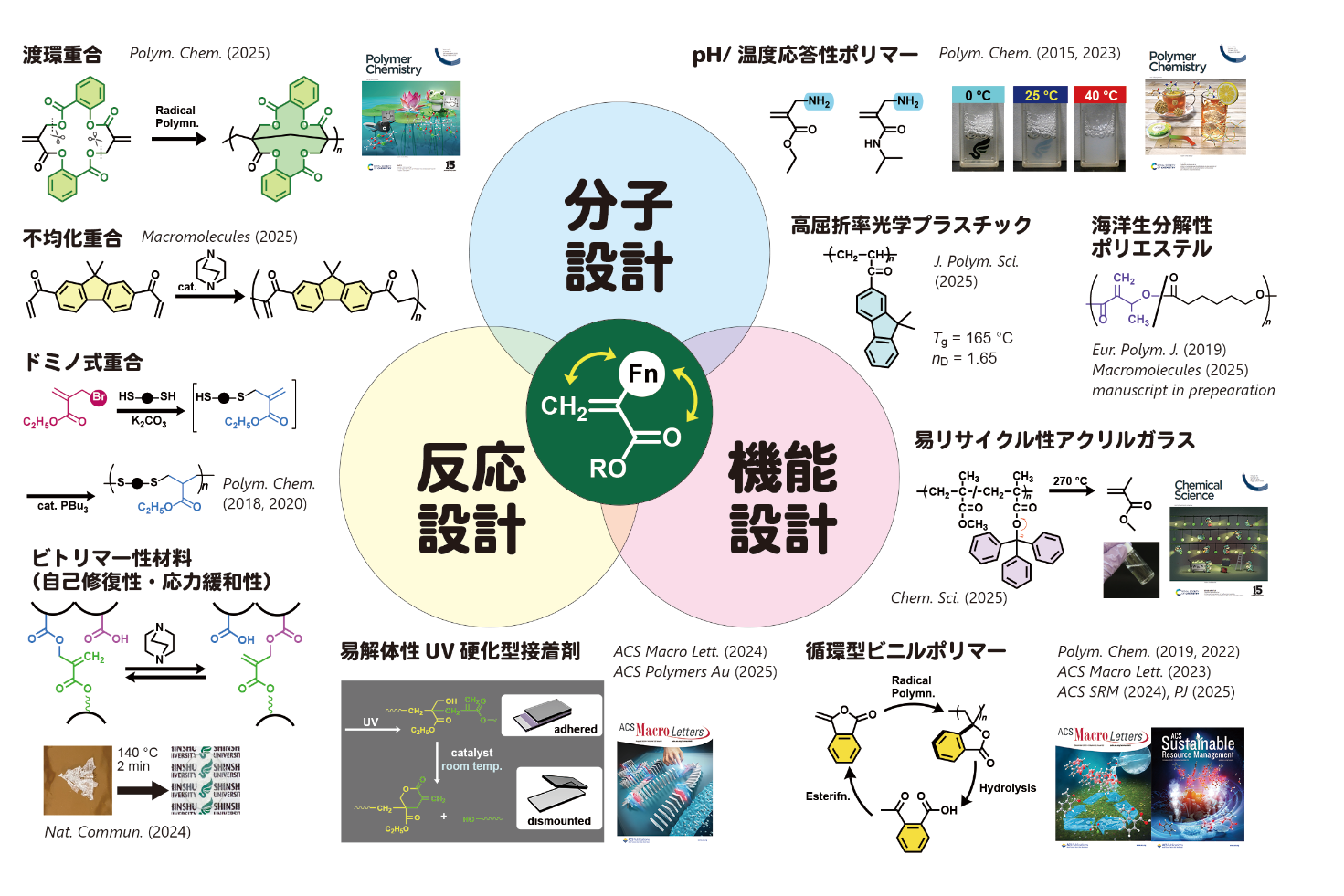 分子設計と反応開発・機能創出の関連図