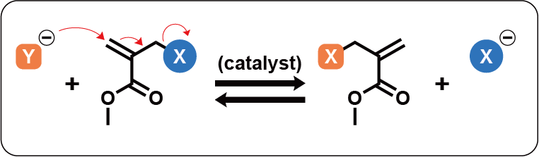 共役置換反応のメカニズムを示す化学反応式