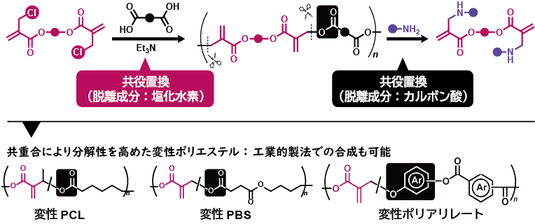 不飽和ポリエステルの合成および共役置換を利用した分解スキーム